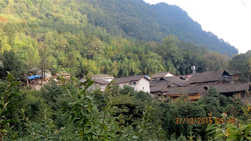 图片1.JPG