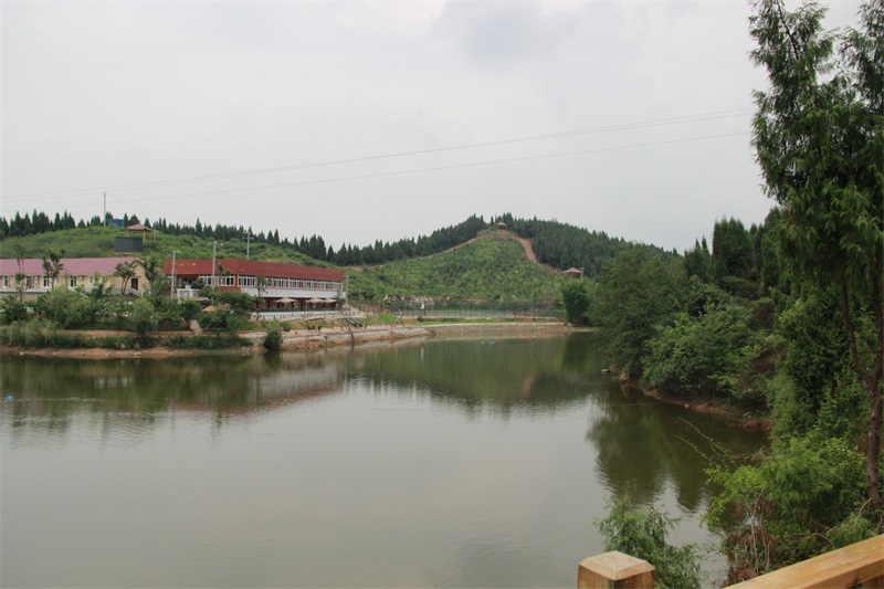 水乡环绕的康养楼.JPG