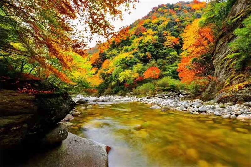 青川縣青溪鎮唐家河國家級自然級自然保護區 - 龍門山鄉村遊