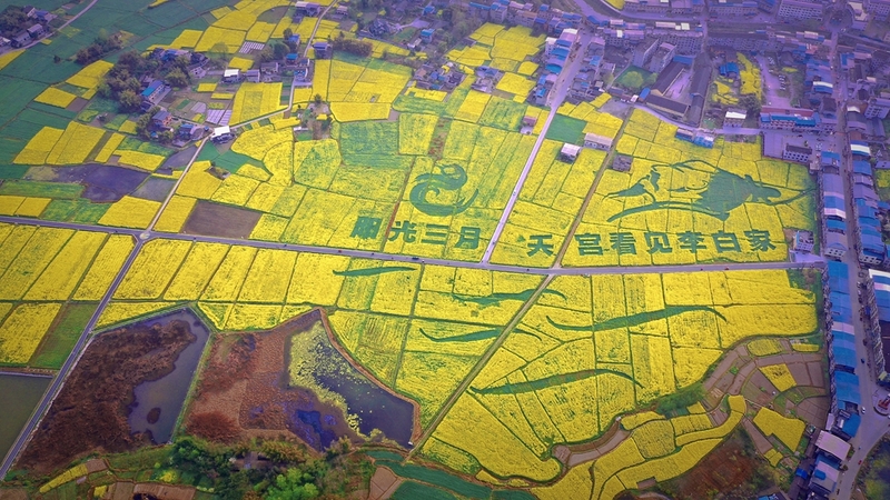 江油市永胜镇地图图片