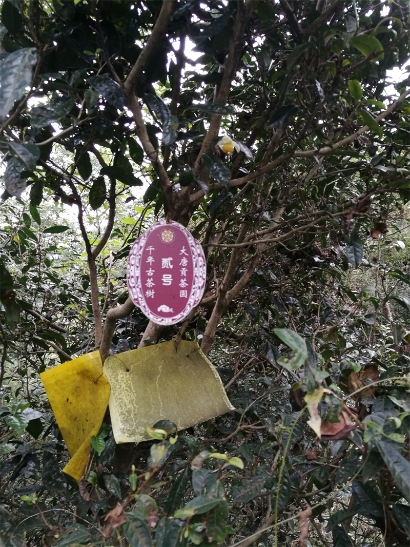 微信图片_202110131732164.jpg
